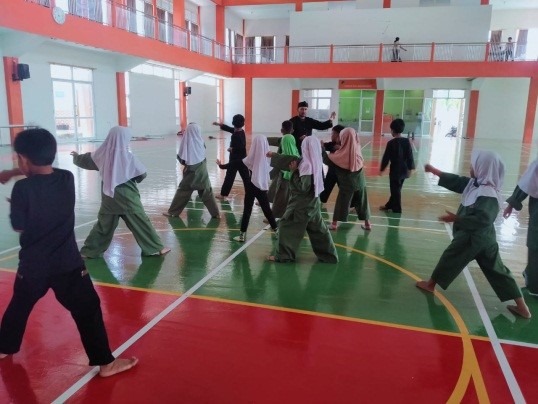 Pencak Silat